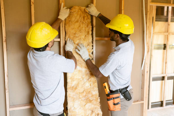 Best Basement Insulation  in Clewiston, FL